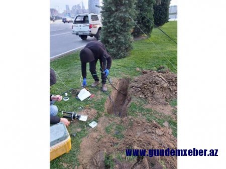  Bakıda internetin işində yaranmış müvəqqəti qüsurların səbəbi açıqlandı
