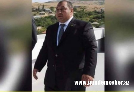 Xızının icra başçısı Xaçmazda zeytun, əncil meyvələrin biznesini qurub