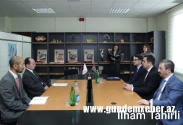 Rəcəblilər ailəsinin yeni şirkətləri aşkarlandı - Kürəkəni yaponlara kələk gəlib? (FOTOLAR)