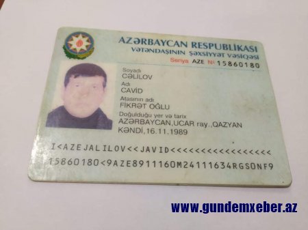 BX rəisinin yarıtmaz fəaliyyəti heyvanların kütləvi ölümünə səbəb olub - İDDİA 