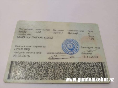 BX rəisinin yarıtmaz fəaliyyəti heyvanların kütləvi ölümünə səbəb olub - İDDİA 