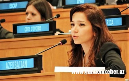 Xalça satdığı iddia olunan səfirin Nyu-Yorkda da mənzilləri üzə çıxdı — Həyat yoldaşı DANIŞDI