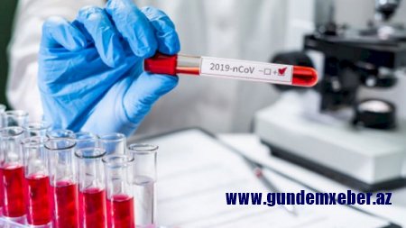 Azərbaycanda 336 nəfərdə koronavirus aşkarlandı, 5 nəfər öldü