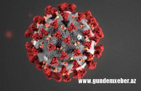 Koronavirus niyə bu qədər yayıldı?