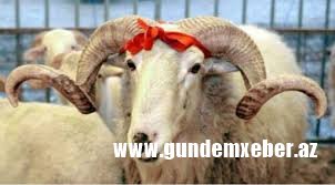Qurban bayramı ilə əlaqədar Tədbirlər Planı hazırlanır