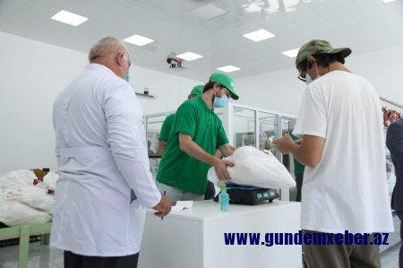 Qurbanlıq qoyunlar onlayn satılır - FOTO