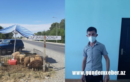 Qurbanlıq heyvanların qanunsuz kəsimi ilə məşğul olan şəxs tutuldu - FOTO