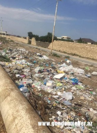 Sanitariya-gigiyena qaydalarını pozan şəxs cərimələnib - FOTO/FAKT