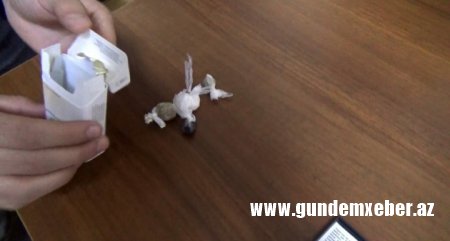 21 kiloqram narkotik vasitə qanunsuz dövriyyədən çıxarılıb - FOTOLAR