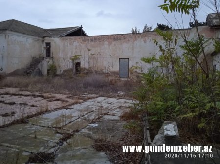 Şəhid Zaur Qurbanovun ermənilərə GÜLLƏ atması Cavid Qurbanova xoş gəlməyib? - İDDİA