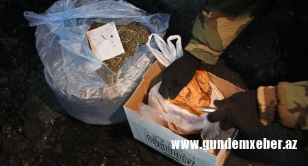 Polis yarım kilo marixuananı yerdən qazıb çıxardı