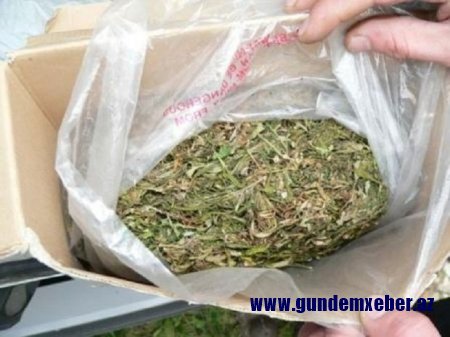Samux sakinindən narkotik götürüldü