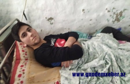 Qazi ailəsi Göyçayın başçısından ŞİKAYƏT ETDİ - Prezidentə müraciət olundu