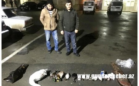 Şabranda qanunsuz ov edən şəxslər saxlanıldı