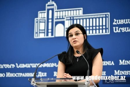 Türkiyənin regiondakı hadisələrə qarışmasını istəmirik – Ermənistan XİN