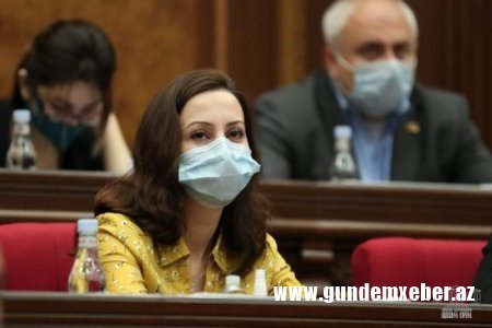 Erməni deputat Njdeyə faşist deyən nazir müavinini dəstəklədi