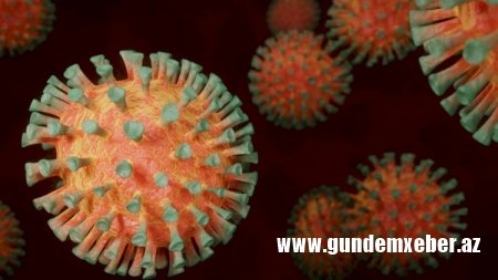 ÜST koronavirus mutasiyalarının təhlükəsi ilə bağlı xəbərdarlıq etdi