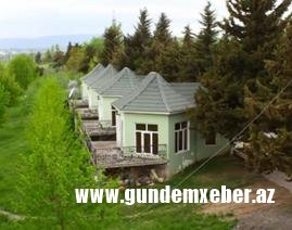 Ziyəddin Əliyevin ailə biznesi - FOTO  
