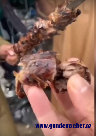 Ərəblər Azərbaycanda nadir quş növlərini ovlayıb, kabab çəkdilər - FOTOLAR