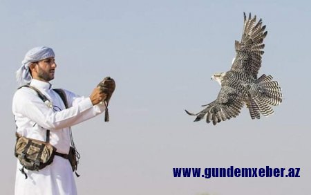 Ərəb turistləri ov etmək üçün Azərbaycana kim gətirib? - Ərəbləri Qarabağda investora çevirməliyik...