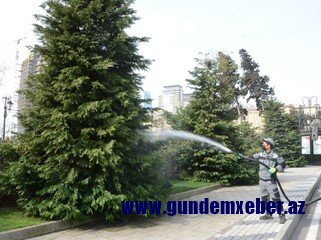 Bakıda 550 küçə dezinfeksiya edilib - YENİLƏNİB