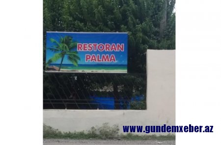 Restoranda qadın məsləhətxanası fəaliyyət göstərir - Cəlilabadda biabırçılıq Restoranda qadın məsləhətxanası fəaliyyət göstərir - Cəlilabadda biabırçılıq