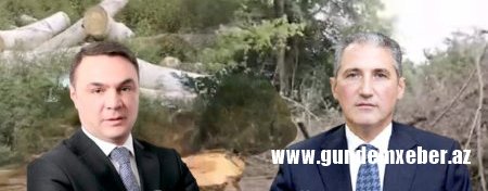 Deputatın viran qoyduğu XAÇMAZ MEŞƏLƏRİ... - Nazirlik Eldəniz Səlimovun “ekoloji terror”una göz yumur