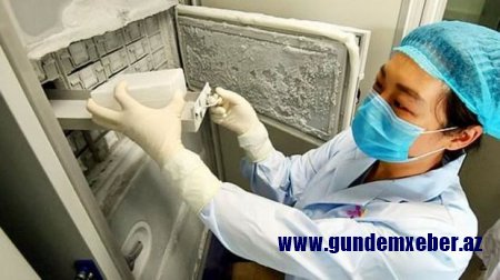 Virusun mənşəyi 20 min il əvvələ gedir: Koronavirusla əlaqədar bütün məlumatlar dəyişə bilər