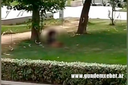 Parkda əxlaqsız görüntüləri yayılan cütlüklə bağlı DİN-dən AÇIQLAMA
