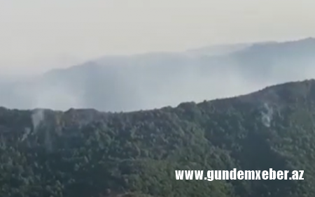 Xocavənddə ermənilərin minaladığı ərazidə yanğın - Video