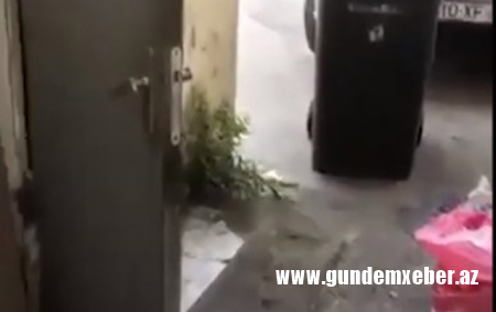 “Mətbəxdə siçovulları öldürüb çölə atırlar” - Məşhur restorandan şikayət