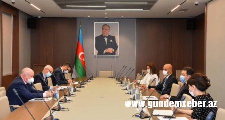 Azərbaycan XİN başçısının müavini AŞPA məruzəçisi ilə görüşüb