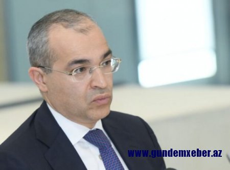 Mikayıl Cabbarova görə: Azərbaycan üçün mis - yeni neftdir