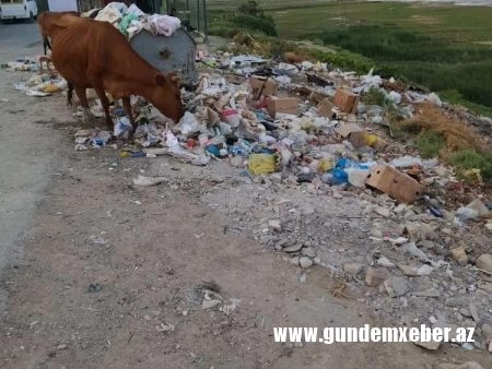 Ələt qəsbəsini bu vəziyyətə salan kimlərdir?