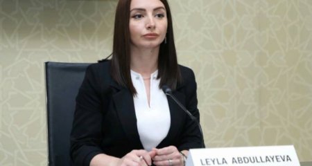 Leyla Abdullayeva Qarabağda minatəmizləmə işlərinin statistikasını açıqladı