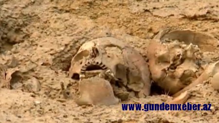 Bakıda Qanlı gölün ətrafında 3 insan kəlləsi tapıldı - FOTOLAR