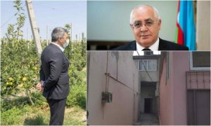 Meyvəçilik və Çayçılıq İnstitutu tenderlərdə saxtakarlığın pik həddinə çatdı - NAZİRİN NƏZƏRİNƏ...