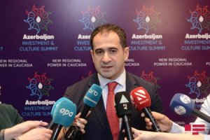 Fəxri adların verilməsi ilə bağlı islahatlar aparılır - Mədəniyyət Nazirliyi