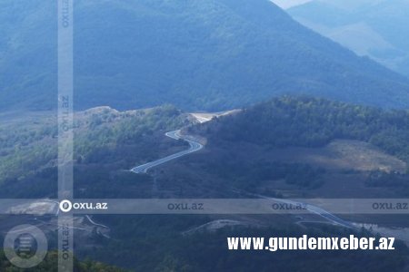 Şuşada Topxana meşəsinin bərpasına start verildi