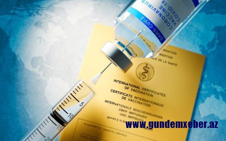 Almaniyada saxta COVID-19 pasportlarının satışı ilə bağlı 11 mindən çox fakt araşdırılır