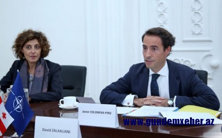 NATO-nun xüsusi nümayəndəsi Türkiyə və Ermənistana çağırış edib