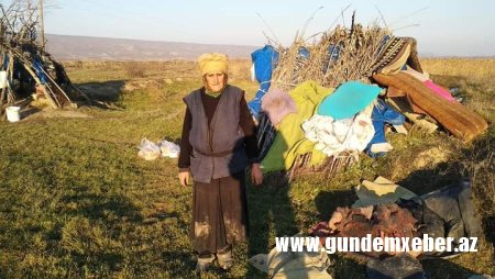Vəhşi heyvanlarla yaşayan tənha qadın - FOTO-FAKT