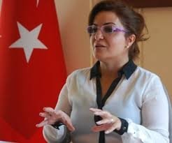 Türkiyə Prezidentinin müşaviri Azərbaycan Prezidentinə təşəkkür edib