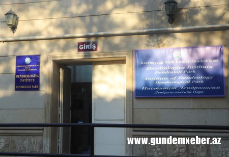Dendrologiya İnstitutundan 5 gündə 88 min manat “udan” Samir Məmmədov kimdir?