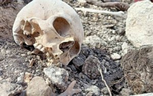 Fərruxda aşkarlanan meyit qalıqları ekshumasiya edilib