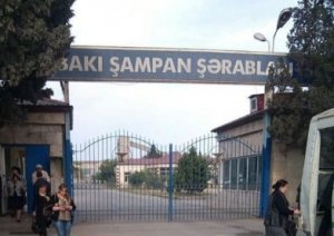 "Direktor məni də, şəhid yoldaşımı da söyür, QUDURĞANLIQ EDİR" - "Bakı Şampan" Zavodundan Şikayət