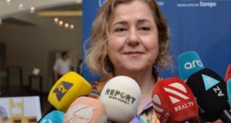 ÜST: "Hazırda Azərbaycanda meymunçiçəyi virusu ilə bağlı təhlükə yoxdur"