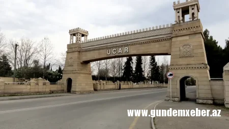 Ucarda Qaziləri işlə təmin edən yoxdur - MÜRACİƏT