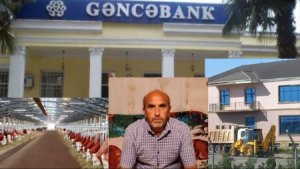 “Gəncəbank”-ın sabiq rəhbəri Samux sakinin əməyini istismar edib? – Pərvanə Novruzova vergidən necə yayınır?