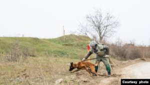 Azərbaycanda mülki şəxs minaya düşüb